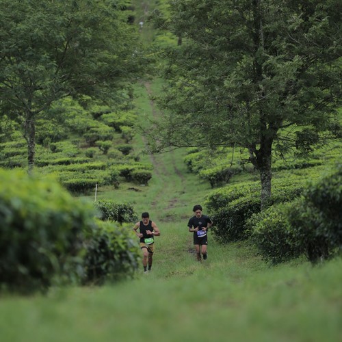 Race photo from PANGALENGAN CROSS-COUNTRY