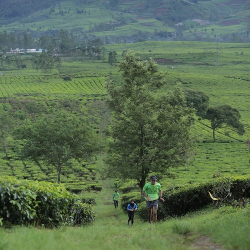 Race photo from PANGALENGAN CROSS-COUNTRY