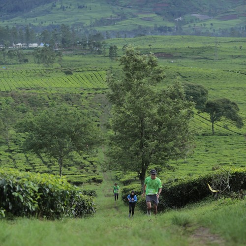 Race photo from PANGALENGAN CROSS-COUNTRY