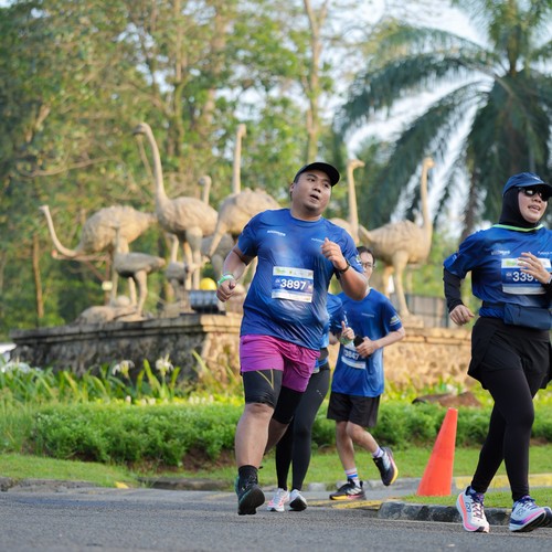 Race photo from BOGORUN 2026