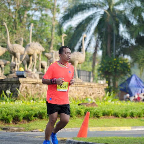 Race photo from BOGORUN 2026
