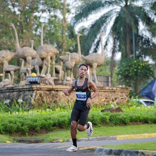 Race photo from BOGORUN 2026