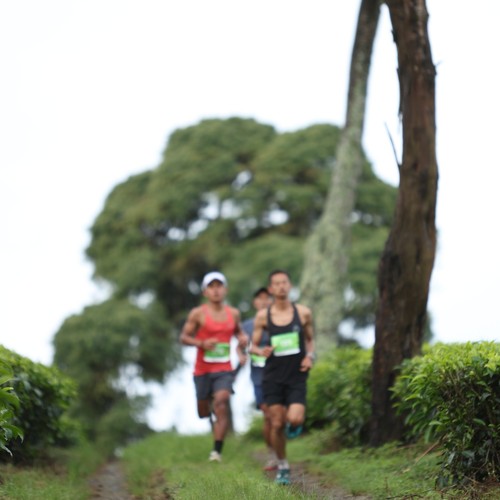 Race photo from PANGALENGAN CROSS-COUNTRY