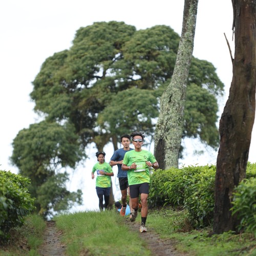 Race photo from PANGALENGAN CROSS-COUNTRY