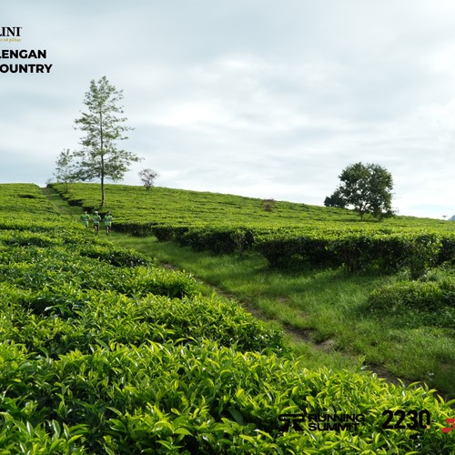 Race photo from PANGALENGAN CROSS-COUNTRY