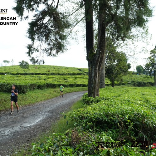 Race photo from PANGALENGAN CROSS-COUNTRY