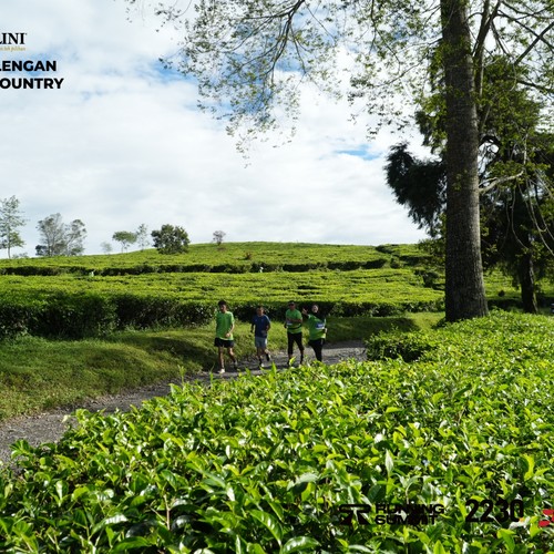 Race photo from PANGALENGAN CROSS-COUNTRY