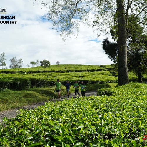 Race photo from PANGALENGAN CROSS-COUNTRY