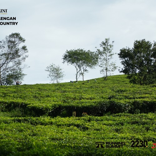 Race photo from PANGALENGAN CROSS-COUNTRY