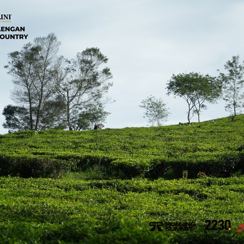Race photo from PANGALENGAN CROSS-COUNTRY