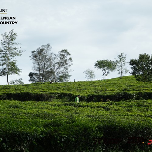 Race photo from PANGALENGAN CROSS-COUNTRY