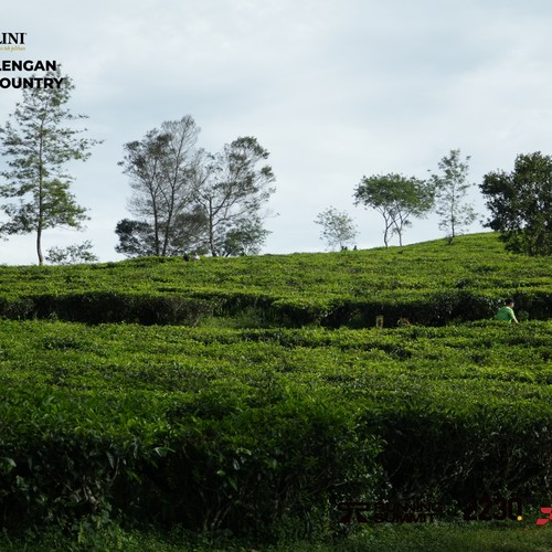 Race photo from PANGALENGAN CROSS-COUNTRY