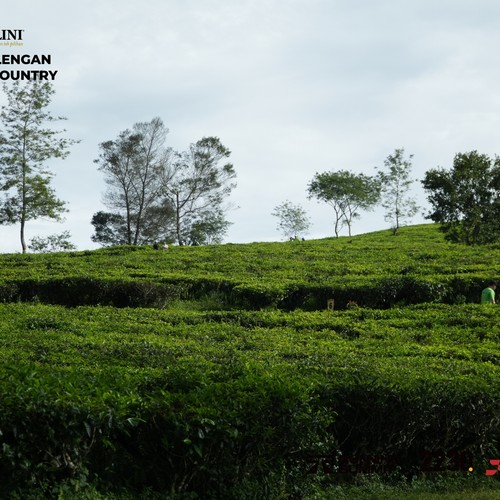 Race photo from PANGALENGAN CROSS-COUNTRY