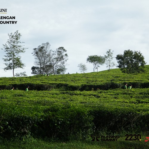Race photo from PANGALENGAN CROSS-COUNTRY