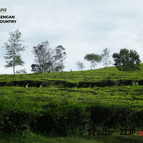 Race photo from PANGALENGAN CROSS-COUNTRY