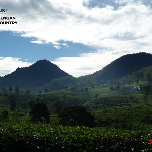 Race photo from PANGALENGAN CROSS-COUNTRY