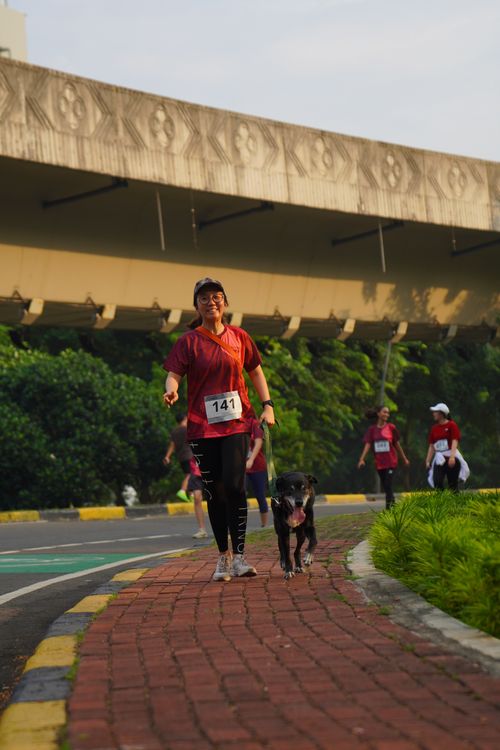 Race photo from Assurance Fun Run 2024