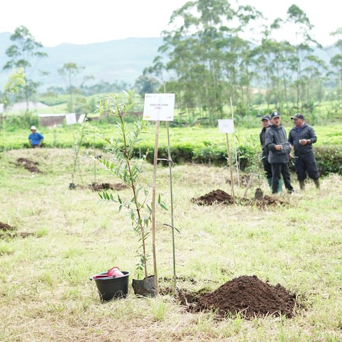 Race photo from PANGALENGAN CROSS-COUNTRY