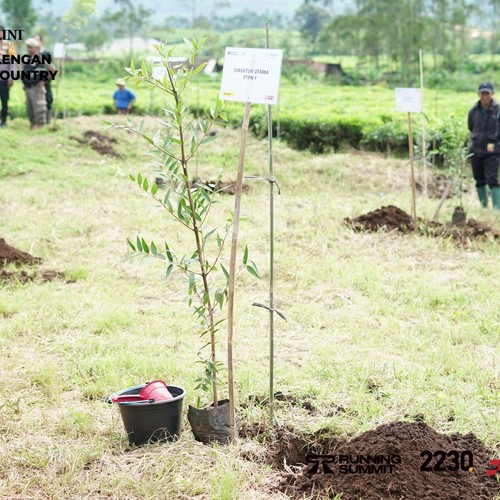 Race photo from PANGALENGAN CROSS-COUNTRY