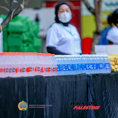 Race photo from WALK FOR PALESTINE