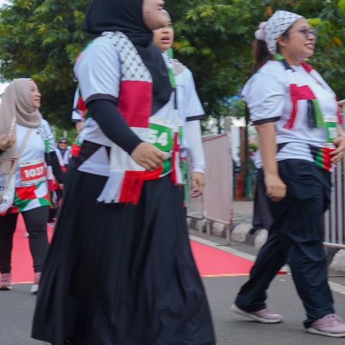 Race photo from WALK FOR PALESTINE