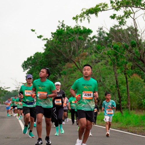 Race photo from ARUTMIN BORNEO RUN 2025
