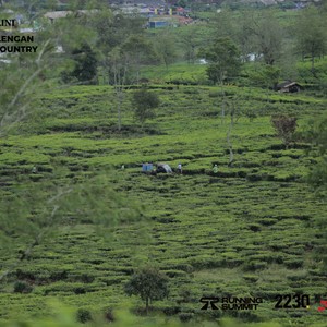 Race photo from PANGALENGAN CROSS-COUNTRY