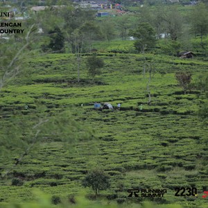 Race photo from PANGALENGAN CROSS-COUNTRY