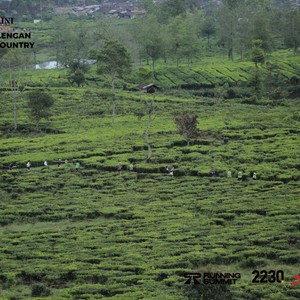 Race photo from PANGALENGAN CROSS-COUNTRY