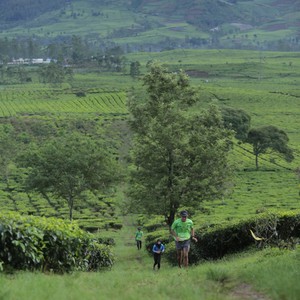 Race photo from PANGALENGAN CROSS-COUNTRY