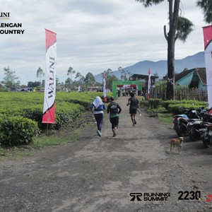 Race photo from PANGALENGAN CROSS-COUNTRY