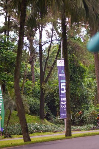 Race photo from Chasing Bogorun 2025