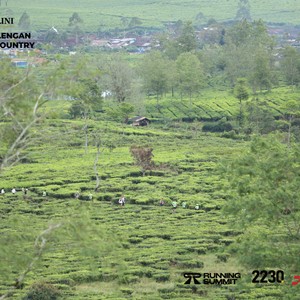 Race photo from PANGALENGAN CROSS-COUNTRY