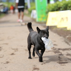 Race photo from PANGALENGAN CROSS-COUNTRY