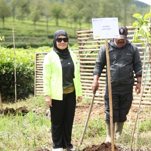 Race photo from PANGALENGAN CROSS-COUNTRY
