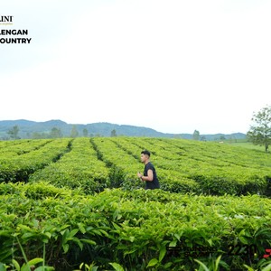 Race photo from PANGALENGAN CROSS-COUNTRY