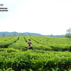 Race photo from PANGALENGAN CROSS-COUNTRY