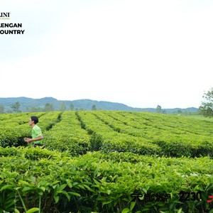 Race photo from PANGALENGAN CROSS-COUNTRY