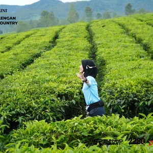 Race photo from PANGALENGAN CROSS-COUNTRY