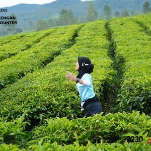 Race photo from PANGALENGAN CROSS-COUNTRY