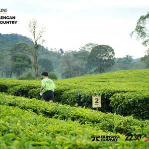 Race photo from PANGALENGAN CROSS-COUNTRY