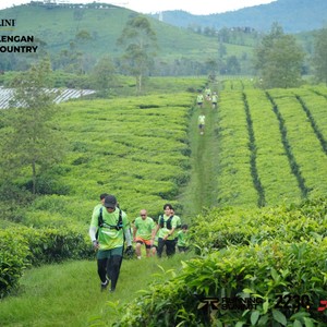 Race photo from PANGALENGAN CROSS-COUNTRY