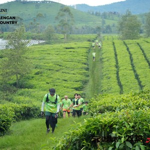 Race photo from PANGALENGAN CROSS-COUNTRY