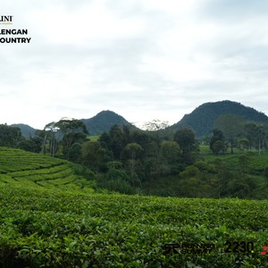 Race photo from PANGALENGAN CROSS-COUNTRY