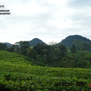 Race photo from PANGALENGAN CROSS-COUNTRY