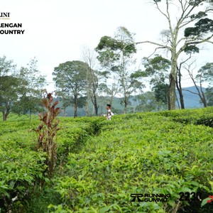 Race photo from PANGALENGAN CROSS-COUNTRY