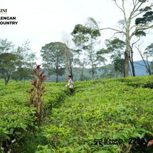 Race photo from PANGALENGAN CROSS-COUNTRY