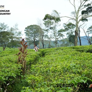 Race photo from PANGALENGAN CROSS-COUNTRY