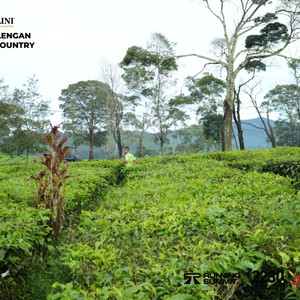 Race photo from PANGALENGAN CROSS-COUNTRY