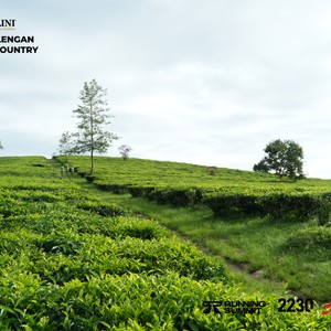 Race photo from PANGALENGAN CROSS-COUNTRY